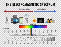 Science Electromagnetic Spectrum diagram on transparent background vector