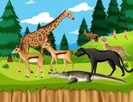 Grupo de animales salvajes africanos en la escena del bosque vector