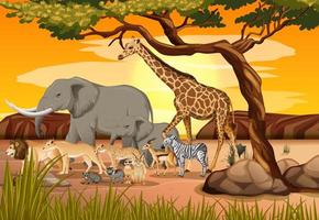 Grupo de animales salvajes africanos en la escena del bosque vector