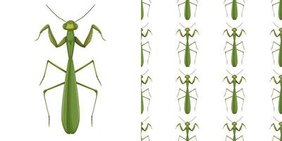 Mantis insect and seamless background vector