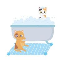 cats make me happy, cat in carpet and kitten in bathtub washing vector