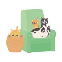 cats make me happy, kittens in sofa and cat in wicker basket vector