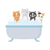 Pequeños gatos en la bañera aseo mascota aislado sobre fondo blanco. vector