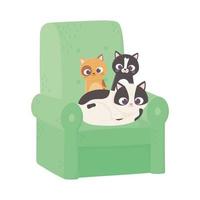 gatos lindos de diferentes razas en dibujos animados de sofá vector