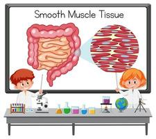 Young scientist explaining smooth muscle tissue in front of a board with laboratory elements vector