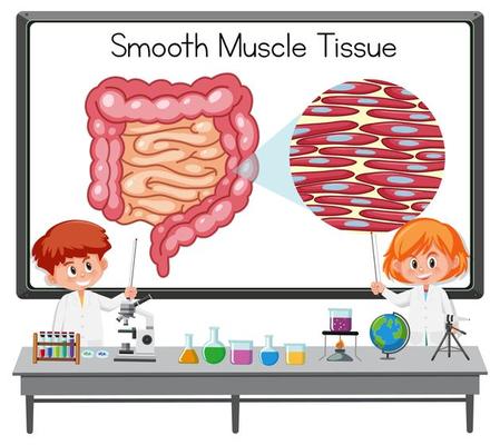 Young scientist explaining smooth muscle tissue in front of a board with laboratory elements