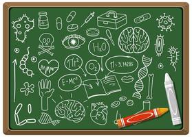 Hand drawn medical science element on chalkboard vector