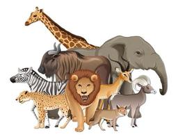 Group of wild African animals on white background vector