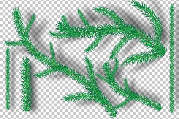 Christmas tree branches on transparency background