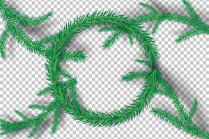 Christmas tree branches on transparency background vector