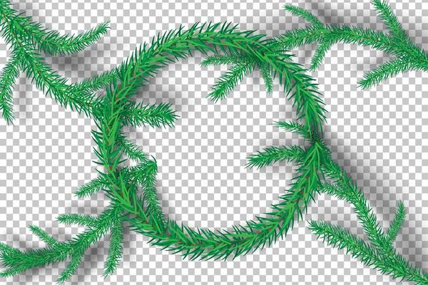 Christmas tree branches on transparency background