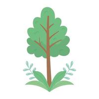 tree foliage branches leaves nature isolated icon design vector