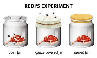 Redi's Experiment diagram for education vector