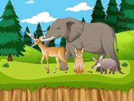 Group of wild african animal in the forest scene vector