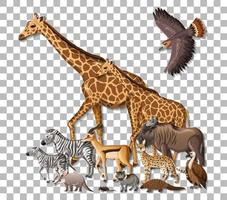 Group of wild african animals on transparent background vector