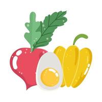 pepper egg and radish vector