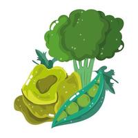 food ingredients menu fresh cartoon vegetables broccoli peas and lettuce vector