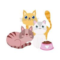 tienda de mascotas, lindos gatitos con dibujos animados domésticos vector