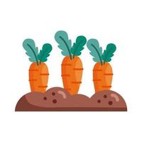 zanahorias en la tierra detalle estilo icono diseño vectorial vector