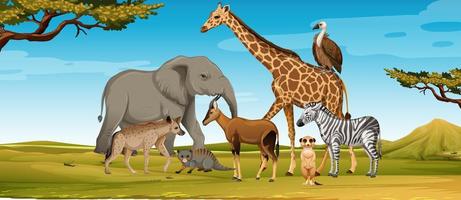 Group of wild african animal in the forest scene vector
