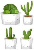 Set of different cactus in pot on white background vector