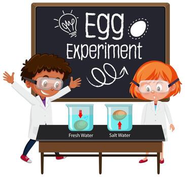 Young scientist explaining science experiment with egg float test vector