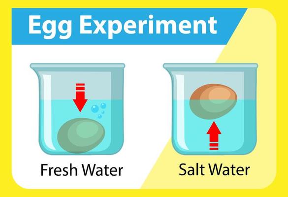 Science experiment with egg float test