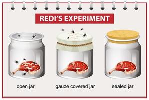 Redi's Experiment diagram for education vector