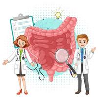 Doctor and human intestine on white background vector