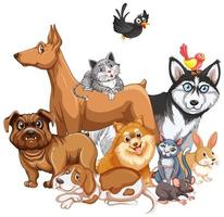 Group of pet on white background vector