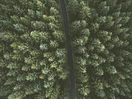 Aerial view of a road between trees photo