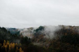 Fog covering trees photo