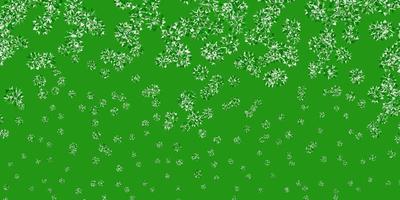 Light green vector pattern with colored snowflakes.