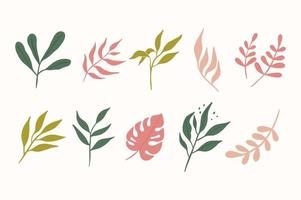 Various leaf branches hand drawn set vector