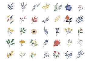 Flowers and leaf element collection with wildflowers vector