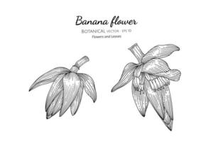 Hand drawn banana heart and flower line art vector