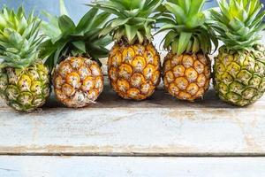 Row of pineapple photo