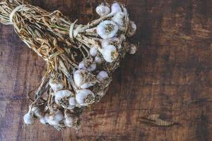 Garlic on a wooden table photo