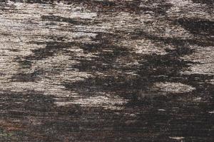 Dark wood floor background photo