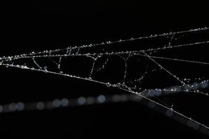 Water drops on the spider web, close-up photo