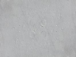 Grey concrete wall texture photo