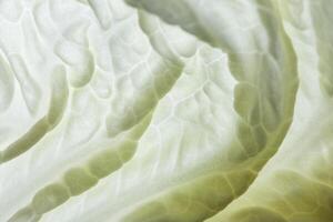 Background from Napa cabbage photo