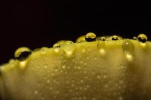 Water droplets on a yellow plant photo