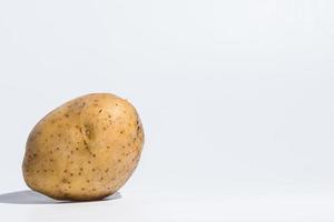 Potato on white background photo