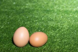 Chicken eggs on green background photo