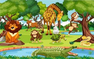 Wild animals in the jungle vector