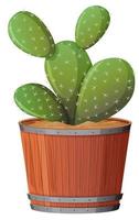 Prickly Pear Cactus in a wooden pot on white background vector