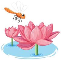 Dragonfly with pink lotus cartoon style on white background vector