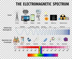 Science Electromagnetic Spectrum diagram vector