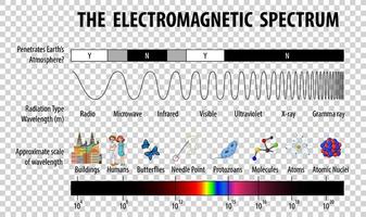 Science Electromagnetic Spectrum diagram vector